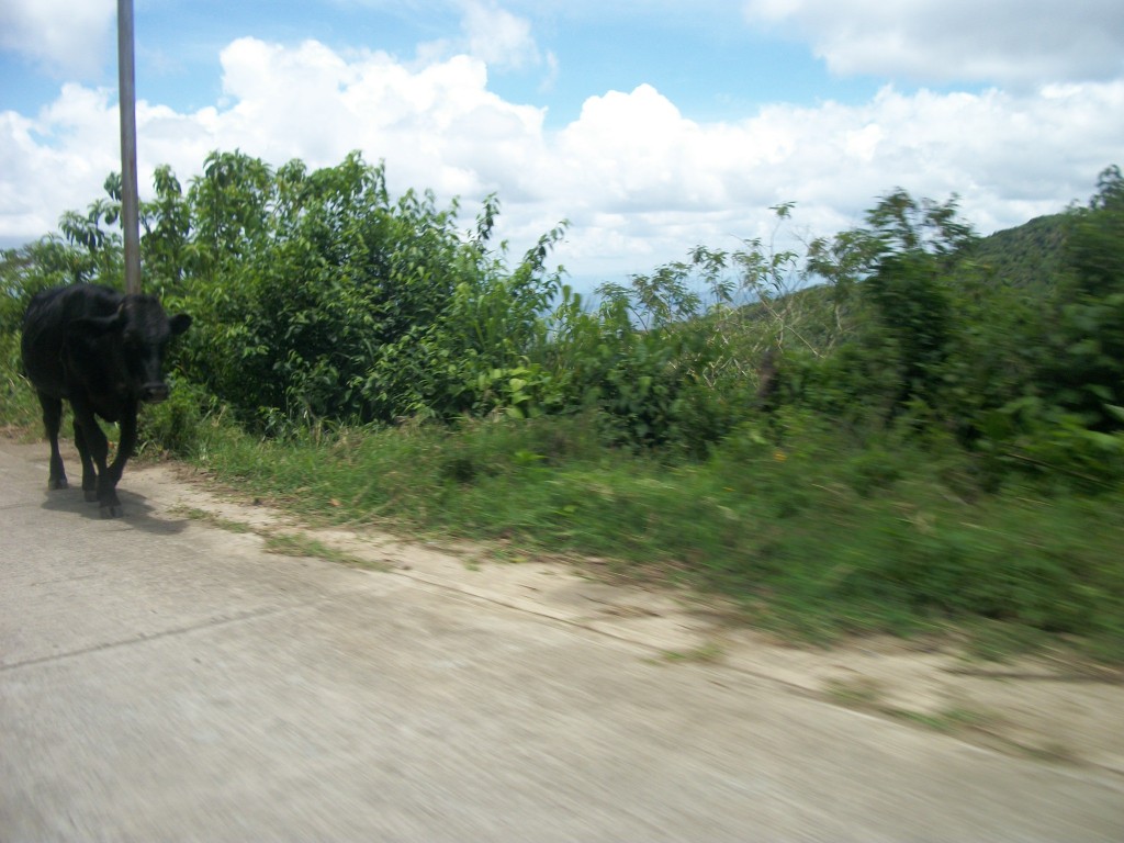 Foto: Subiendo hacia el Cerro Galicia - Curimagua (Falcón), Venezuela