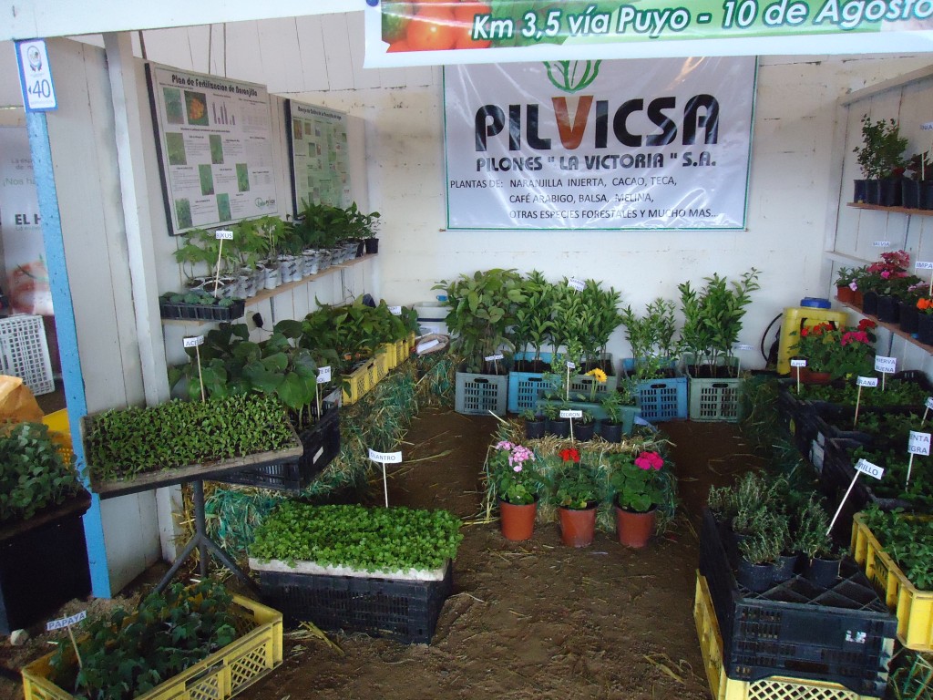 Foto: Pilvicsa - Puyo (Pastaza), Ecuador