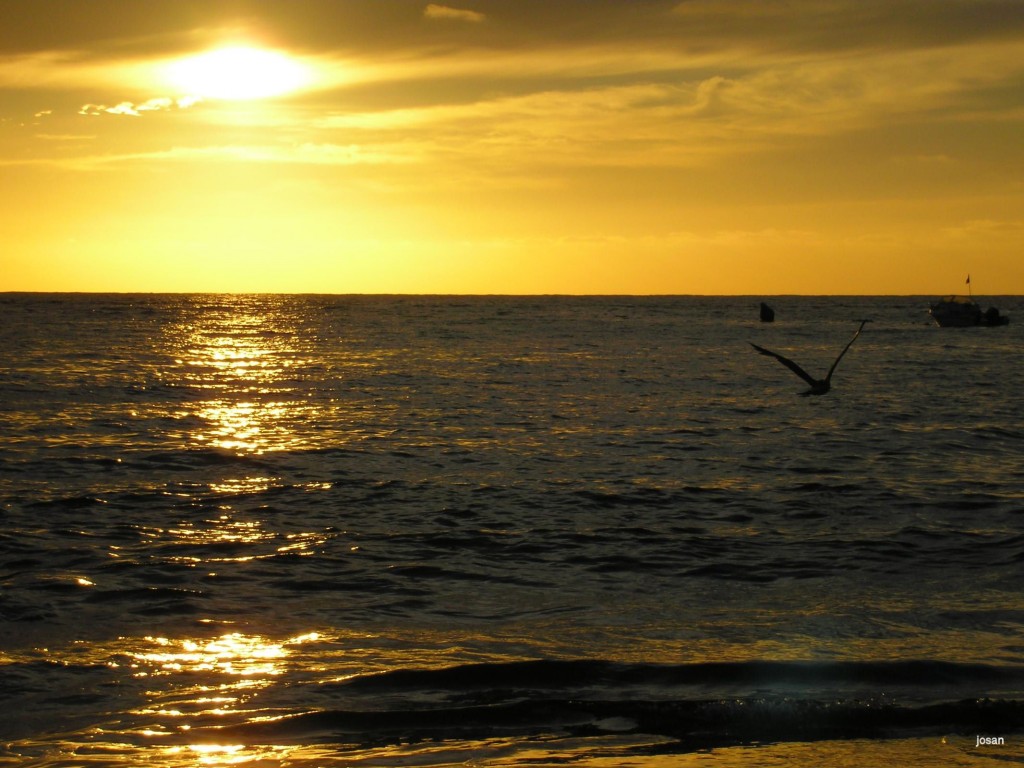 Foto: atardecer en las canteras - Las Palmas De Gran Canaria (Las Palmas), España