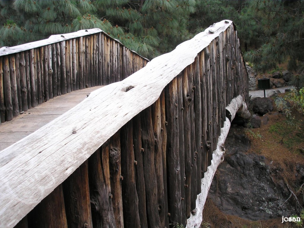 Foto: jardin canario - Las Palmas De Gran Canarias (Las Palmas), España
