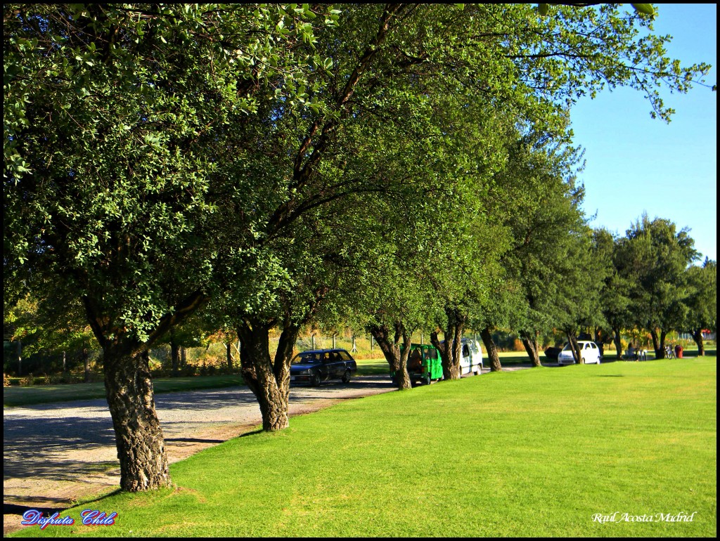 Foto de Rancagua (Libertador General Bernardo OʼHiggins), Chile