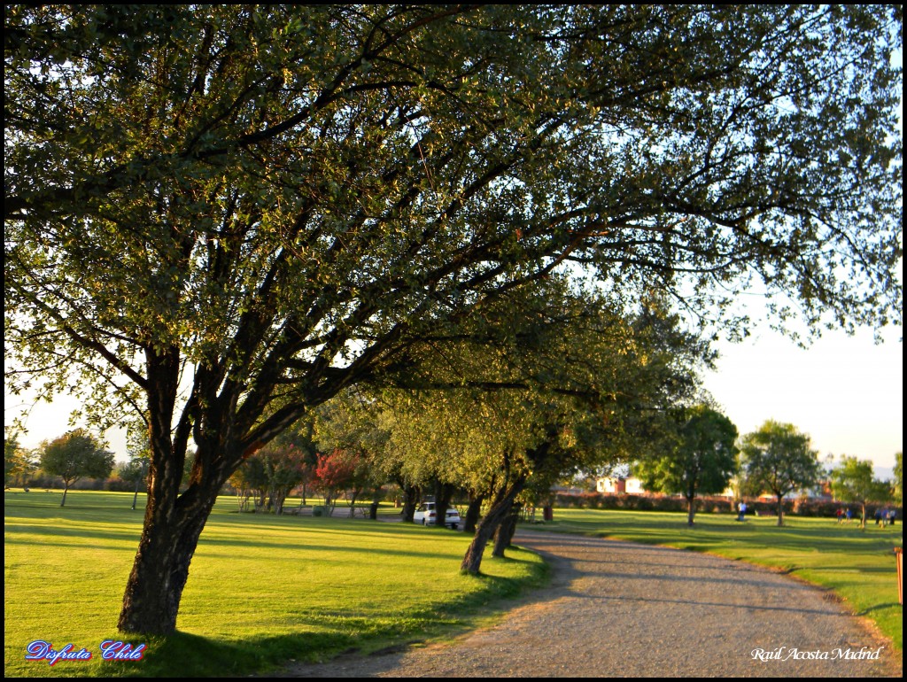 Foto de Rancagua (Libertador General Bernardo OʼHiggins), Chile