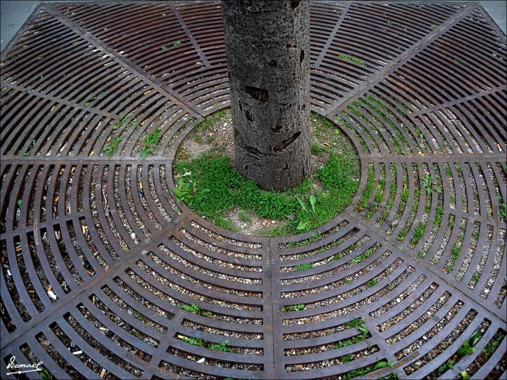 Foto: 110428-016 VIENA - Viena (Vienna), Austria