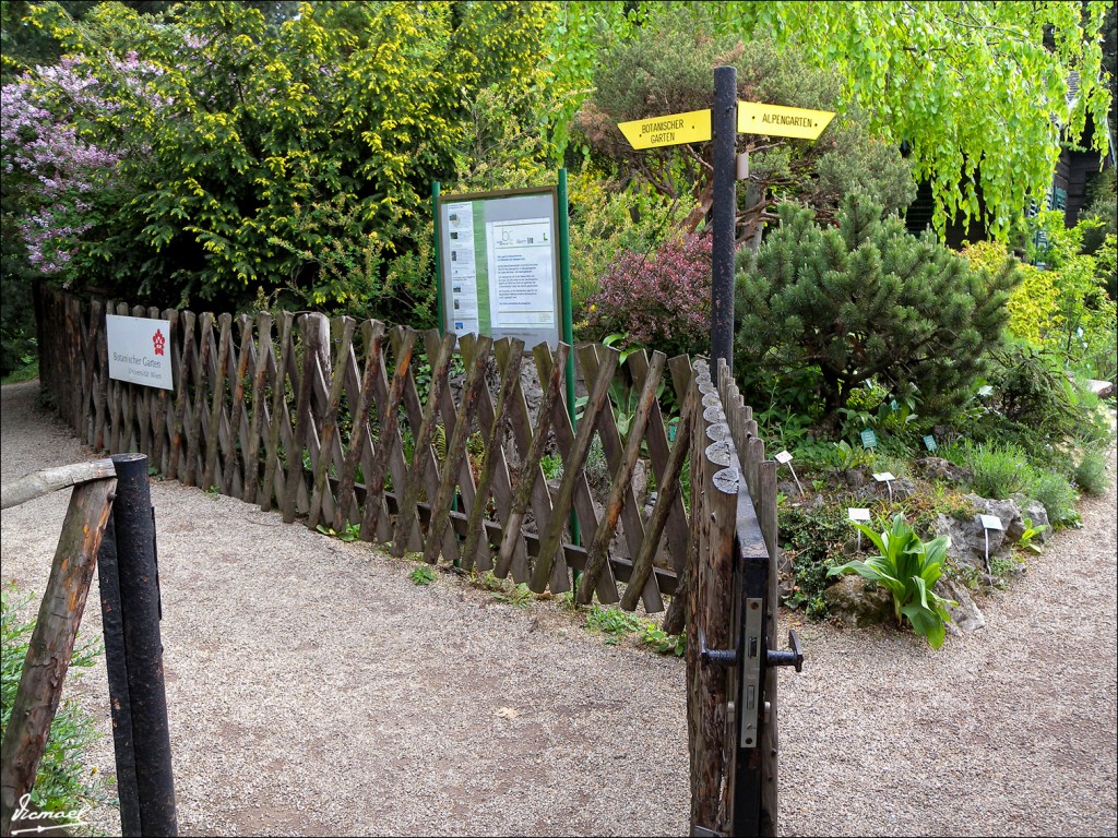 Foto: 110429-024 VIENA - Viena (Vienna), Austria