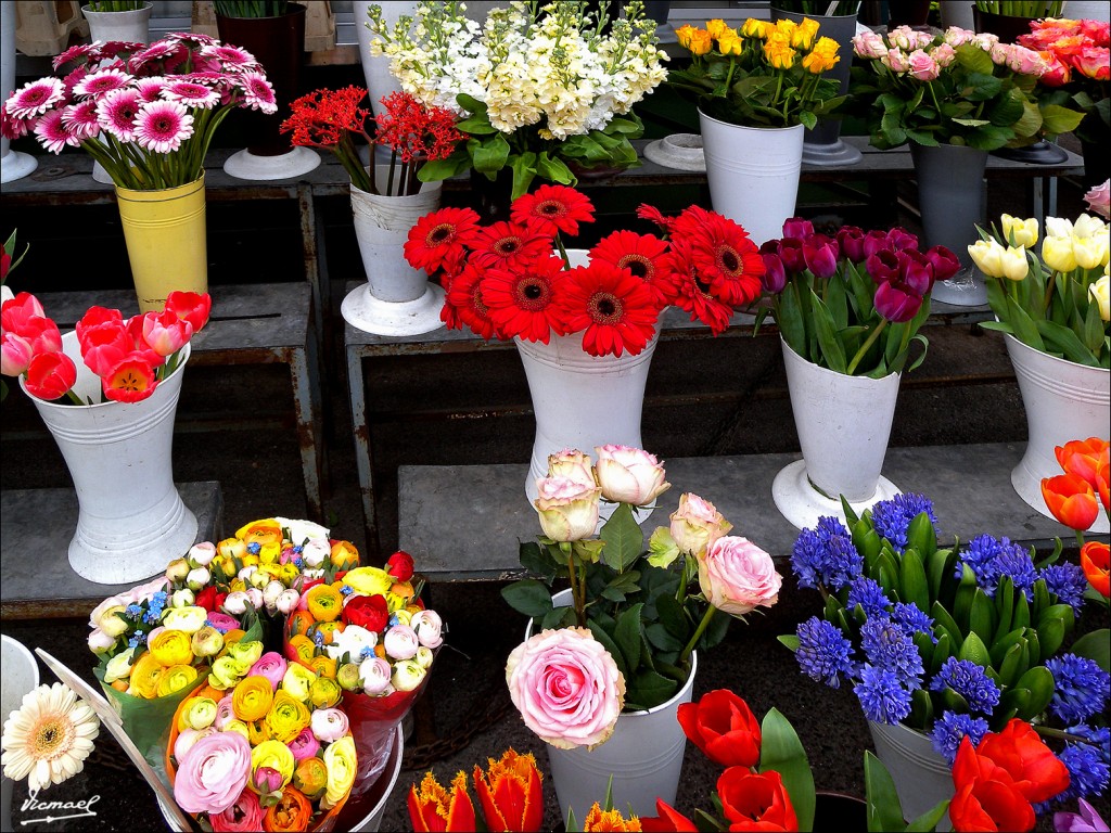 Foto: 110429-057 VIENA - Viena (Vienna), Austria