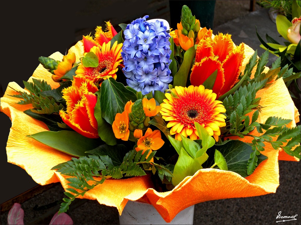 Foto: 110429-058 VIENA - Viena (Vienna), Austria