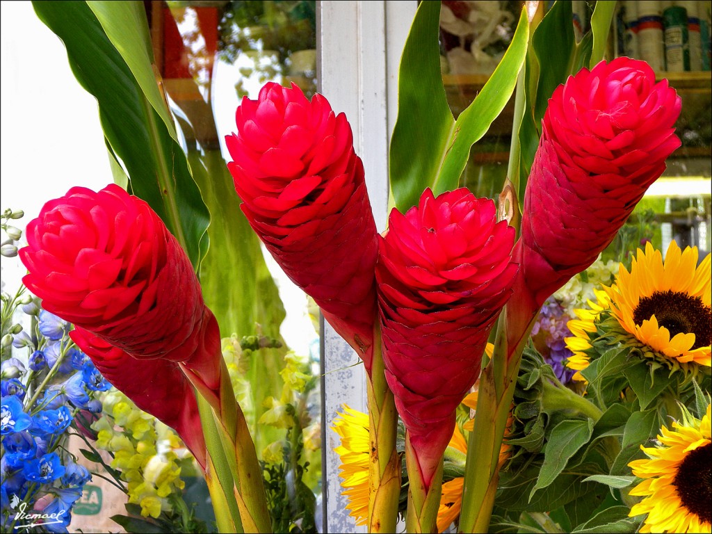 Foto: 110429-059 VIENA - Viena (Vienna), Austria