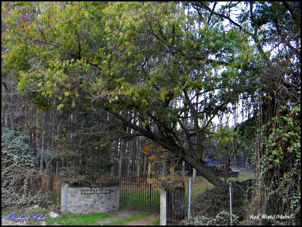 Foto de Lo Miranda (Libertador General Bernardo OʼHiggins), Chile