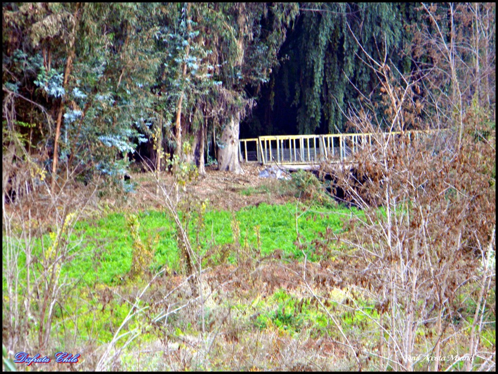 Foto de Lo Miranda (Libertador General Bernardo OʼHiggins), Chile