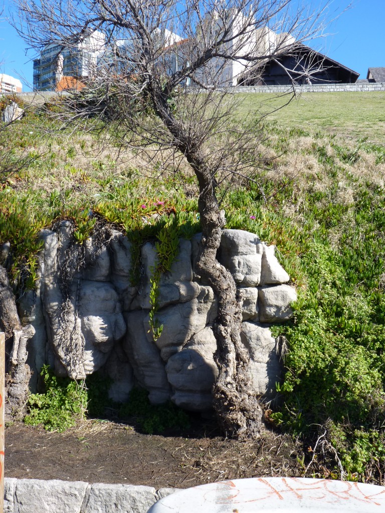 Foto: Playa Chica - Mar del Plata (Buenos Aires), Argentina