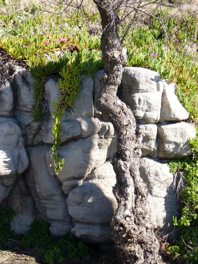 Foto: Playa Chica - Mar del Plata (Buenos Aires), Argentina