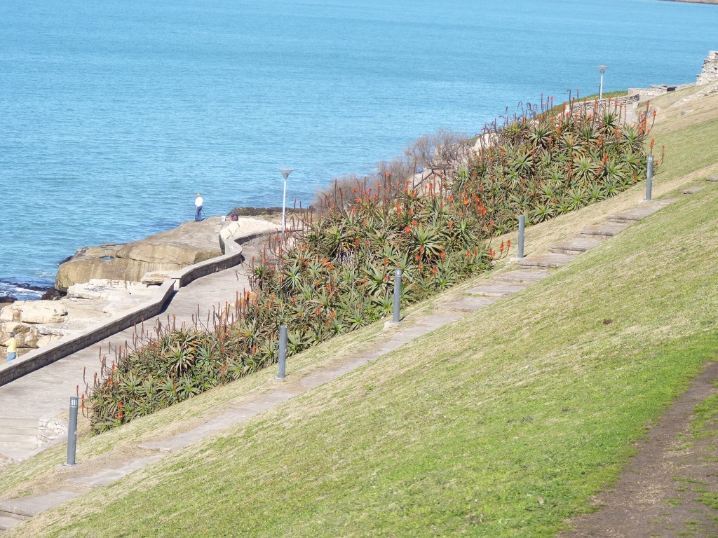 Foto de Mar del Plata (Buenos Aires), Argentina