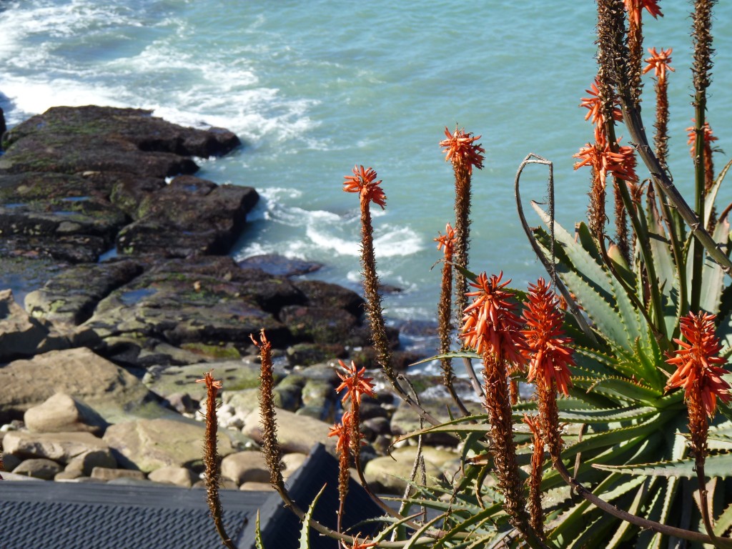 Foto de Mar del Plata (Buenos Aires), Argentina