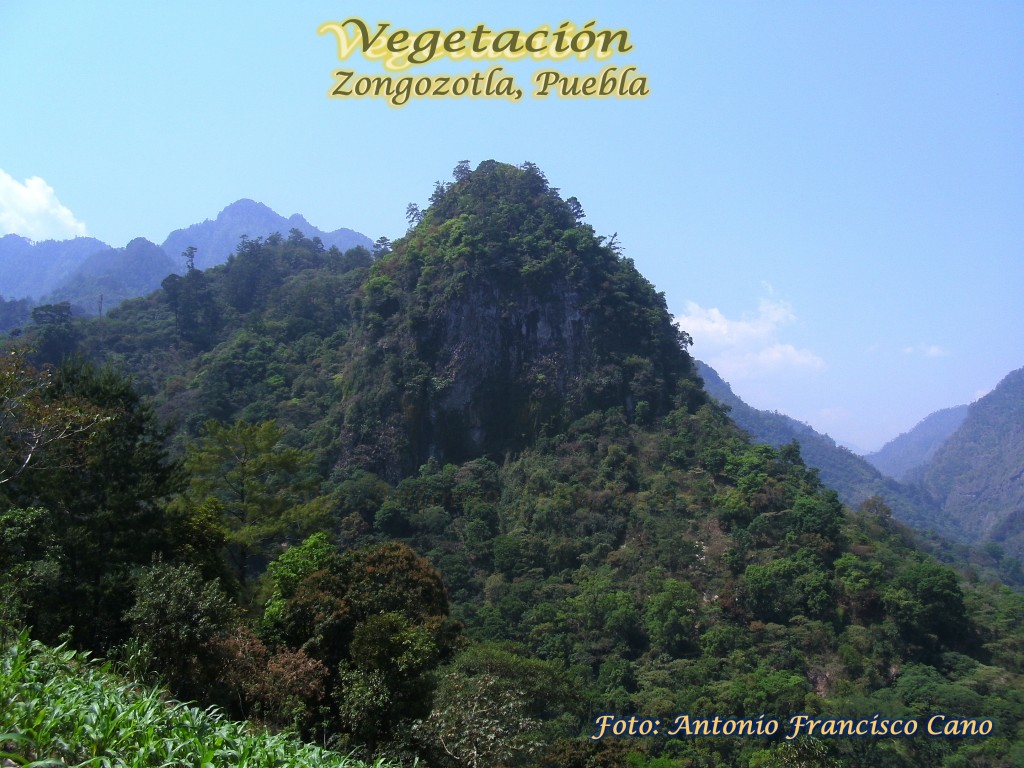 Foto de Zongozotla (Puebla), México