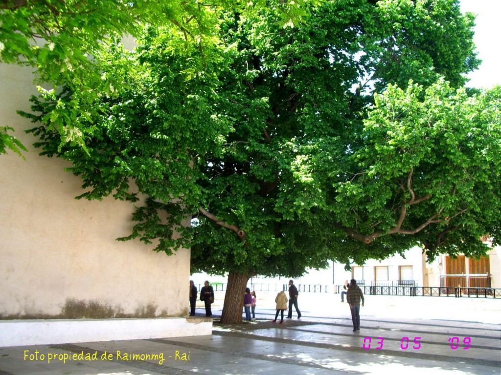 Foto: Iglesia de Felix - Felix (Almería), España