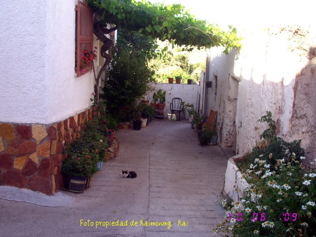 Foto: Calle de Felix - Felix (Almería), España