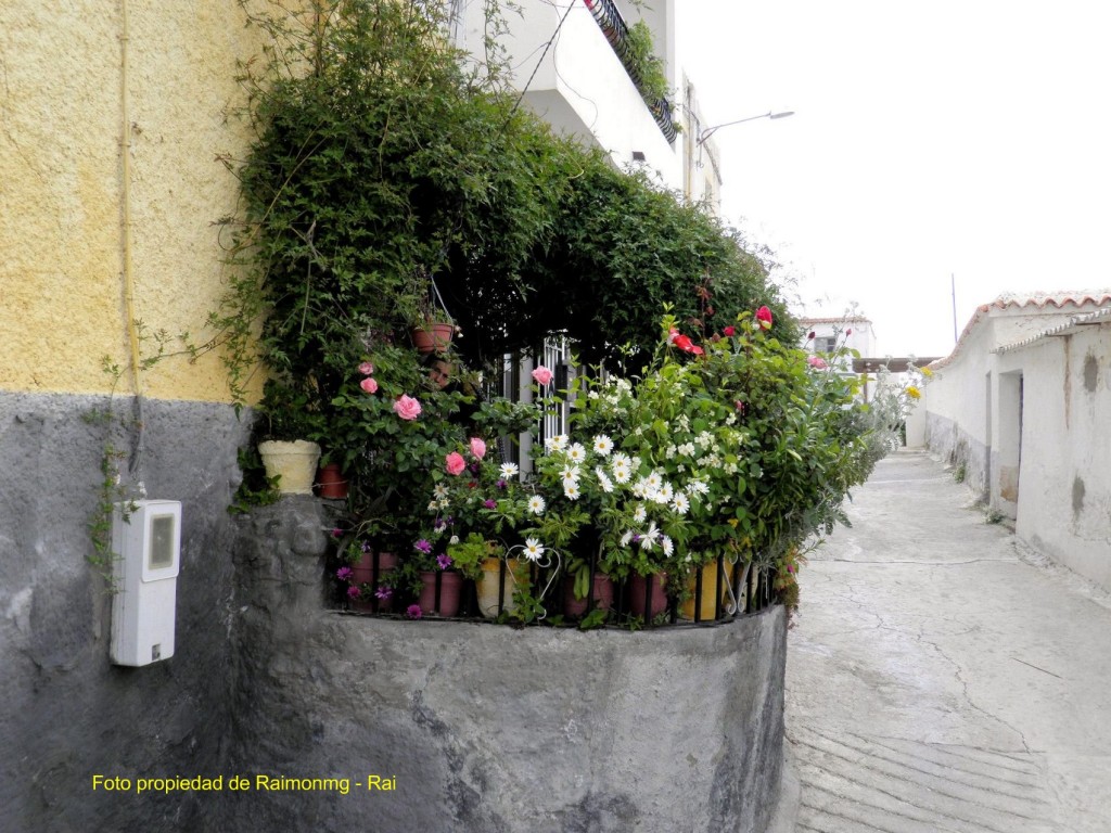 Foto: Fiñana - Fiñana (Almería), España