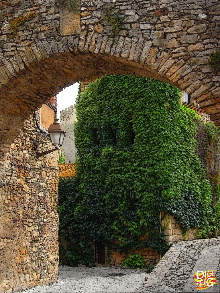 Foto: Piedra y vegetación. - Peratallada (Girona), España