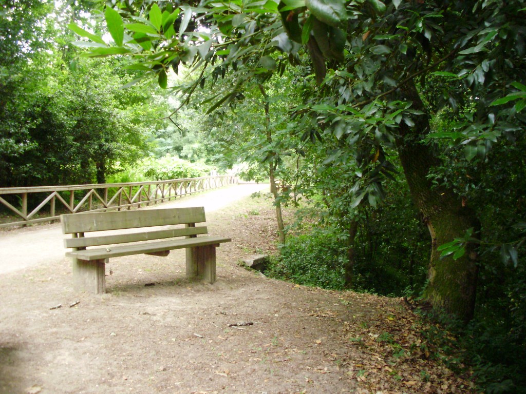 Foto: PARQUE LA CANUDA - Salvaterra De Miño (Pontevedra), España