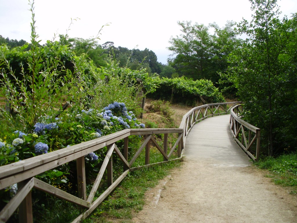 Foto: PARQUE LA CANUDA - Salvaterra De Miño (Pontevedra), España