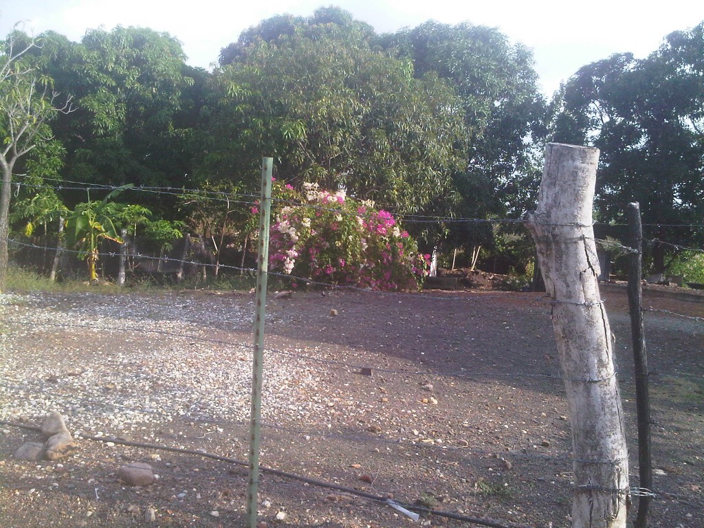 Foto: LLanos Venezolanos - San José de Tiznado (Guárico), Venezuela