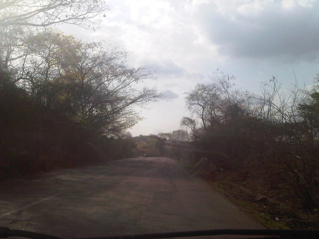 Foto: LLanos Venezolanos - San José de Tiznado (Guárico), Venezuela