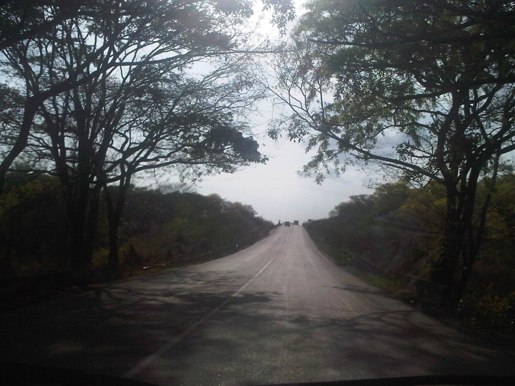 Foto: LLanos Venezolanos - San José de Tiznado (Guárico), Venezuela