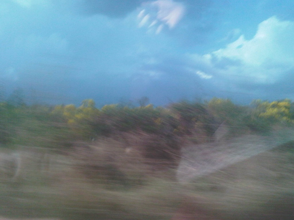 Foto: LLanos Venezolanos - San José de Tiznado (Guárico), Venezuela