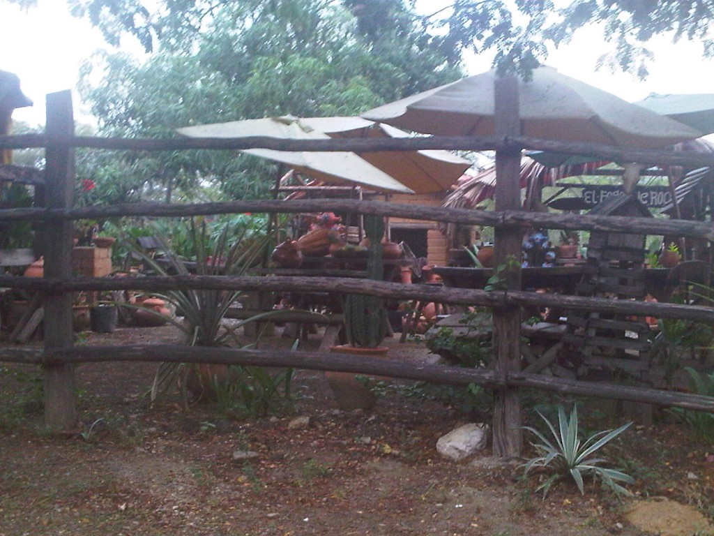 Foto: LLanos Venezolanos - San José de Tiznado (Guárico), Venezuela