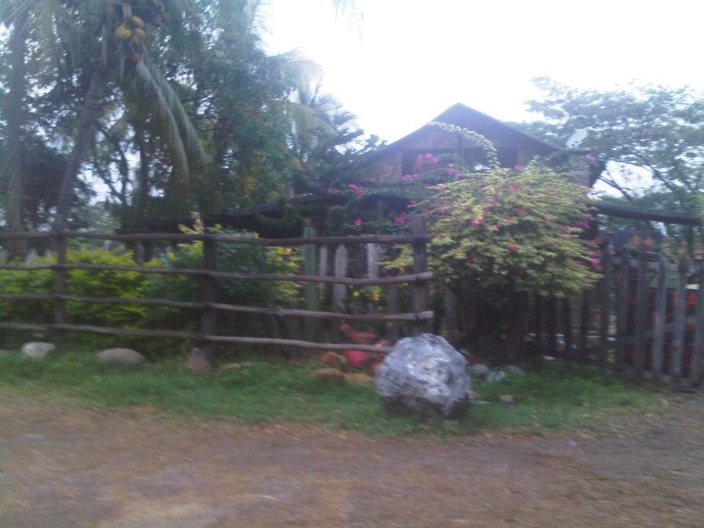 Foto: LLanos Venezolanos - San José de Tiznado (Guárico), Venezuela