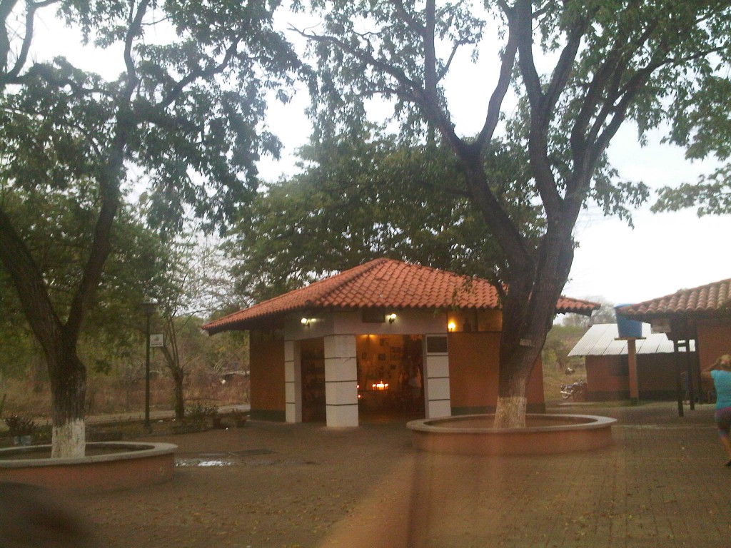 Foto: LLanos Venezolanos - Ortíz (Guárico), Venezuela