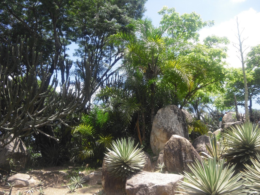 Foto de Parque Del Este (Distrito Capital), Venezuela