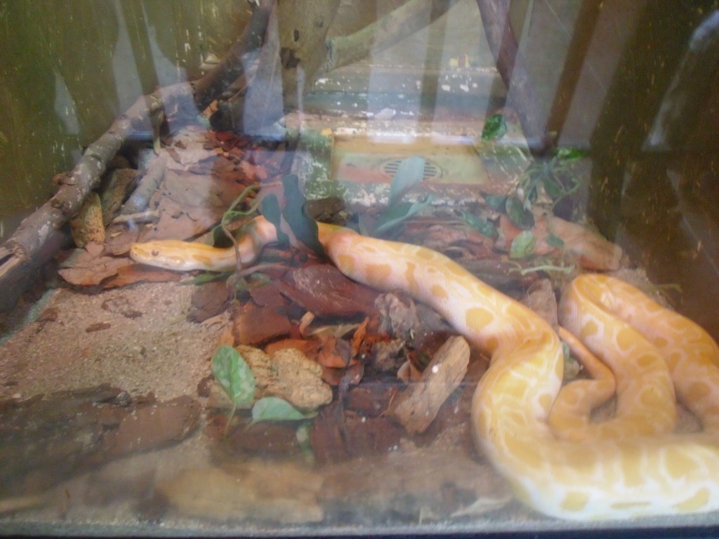 Foto de Parque Del Este (Distrito Capital), Venezuela