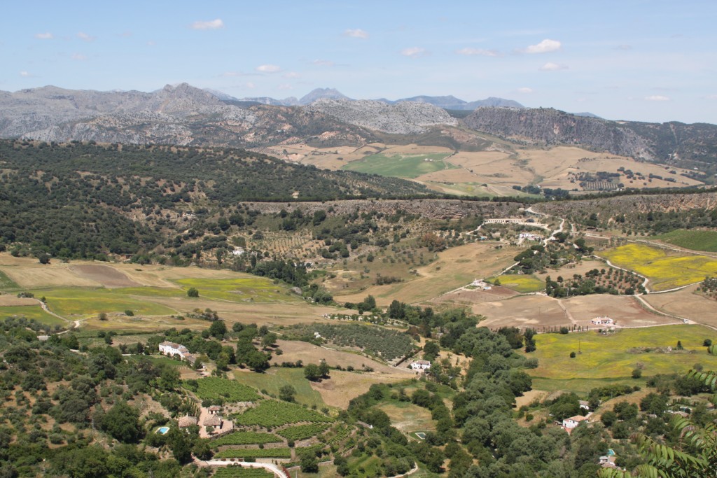Foto de Ronda (Málaga), España