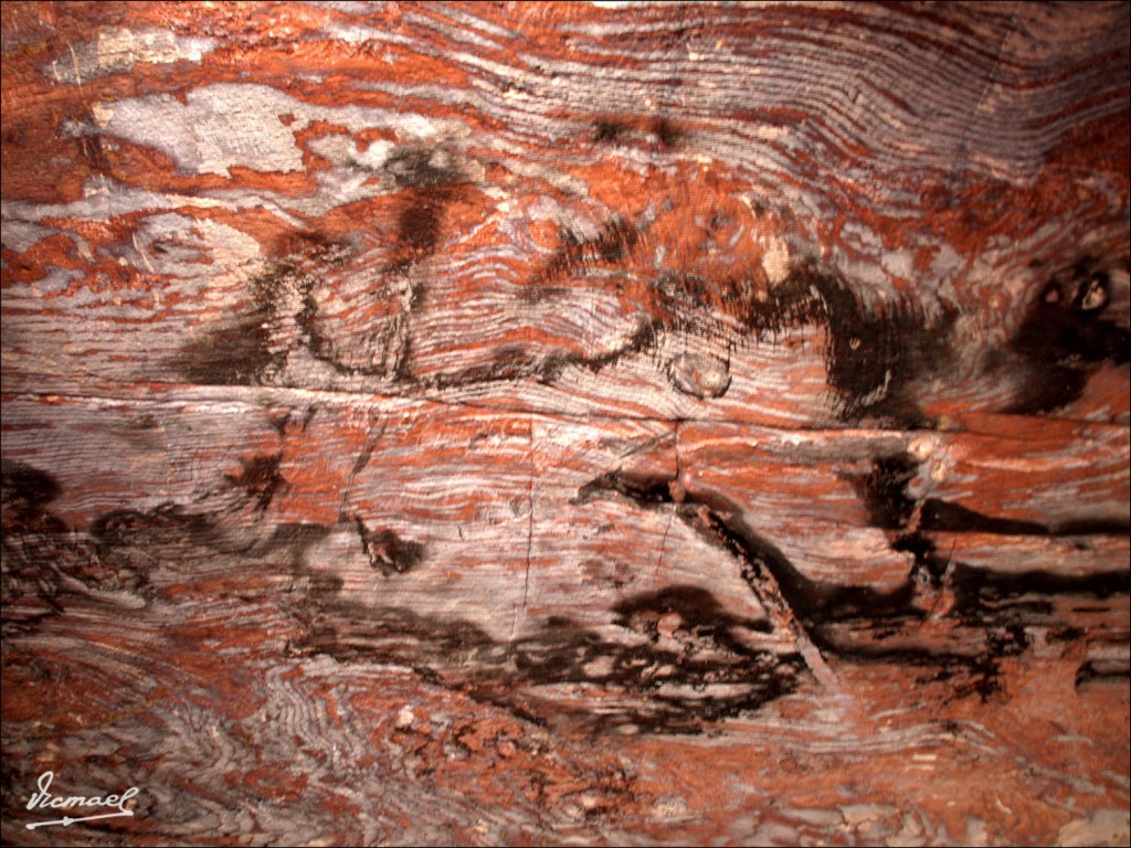 Foto: 090921-248 PETRA, JORDANIA - Petra, Jordania