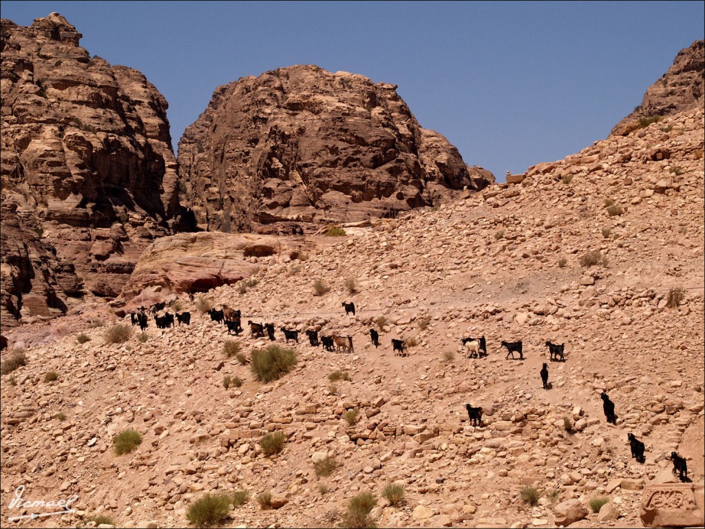 Foto: 090921-283 PETRA, JORDANIA - Petra, Jordania