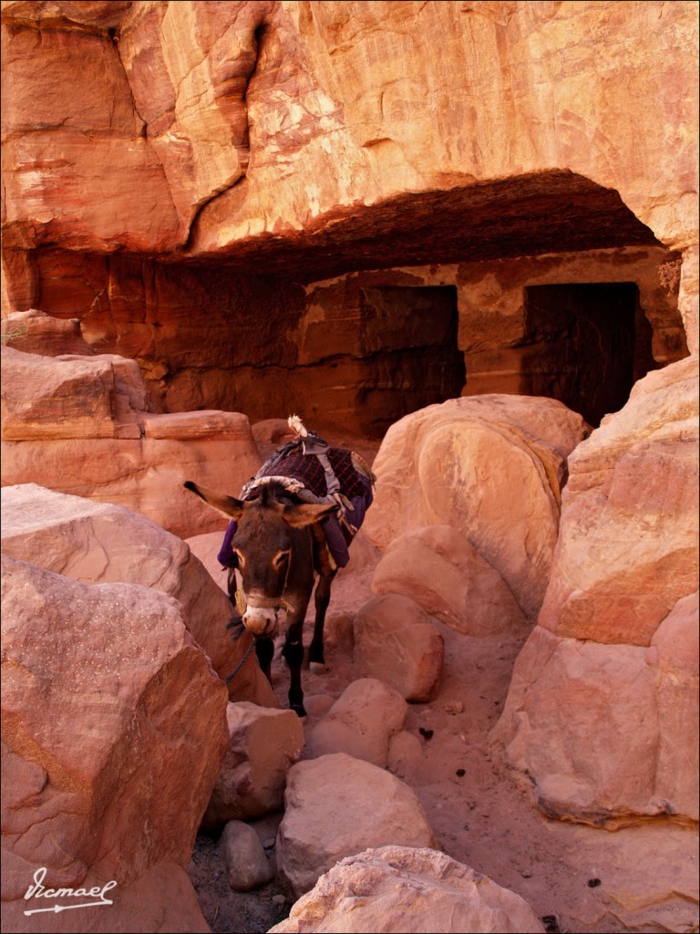 Foto: 090921-319 PETRA, JORDANIA - Petra, Jordania