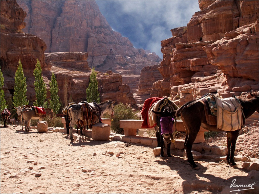 Foto: 090921-325 PETRA, JORDANIA - Petra, Jordania