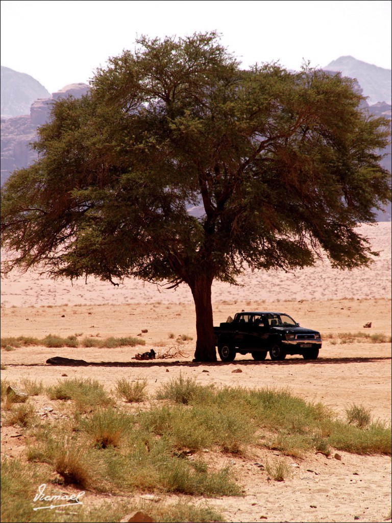 Foto: 090922-120 WADI RUM - Petra, Jordania
