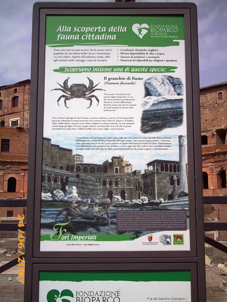 Foto de Roma, Italia