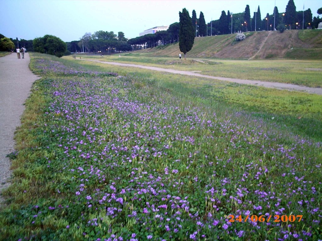 Foto de Roma, Italia