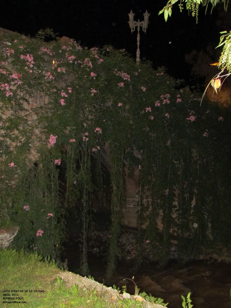 Foto: Puertas de la ciudad - Loja, Ecuador