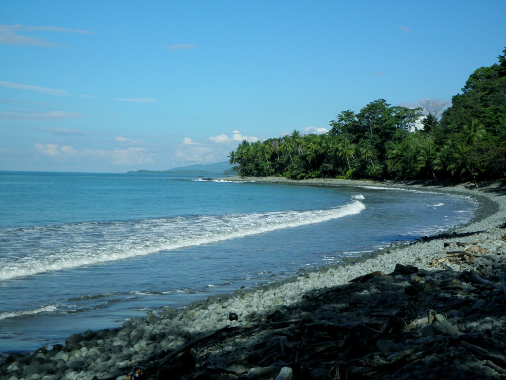 Foto de Bahia Ballena (Puntarenas), Costa Rica