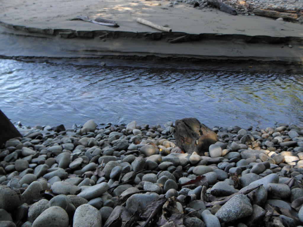 Foto de Baha Ballena (Puntarenas), Costa Rica