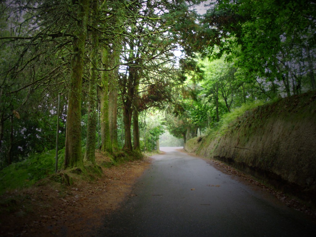 Foto: VEREDA CASTILLLO DE SOBROSO - Ponteareas (Pontevedra), España
