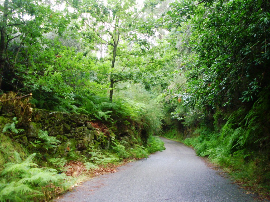 Foto: Vereda Castilllo De Sobroso - Ponteareas (Pontevedra), España