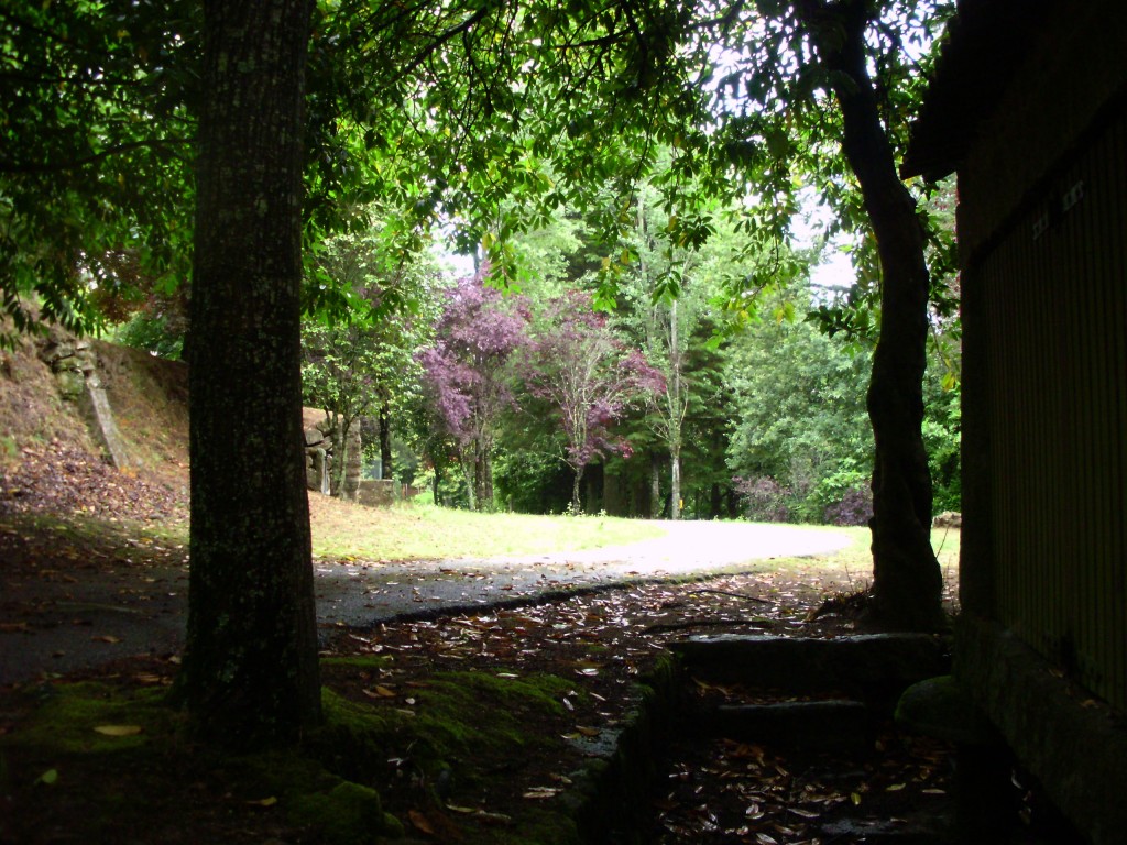 Foto: Merendero De Sobroso - Ponteareas (Pontevedra), España