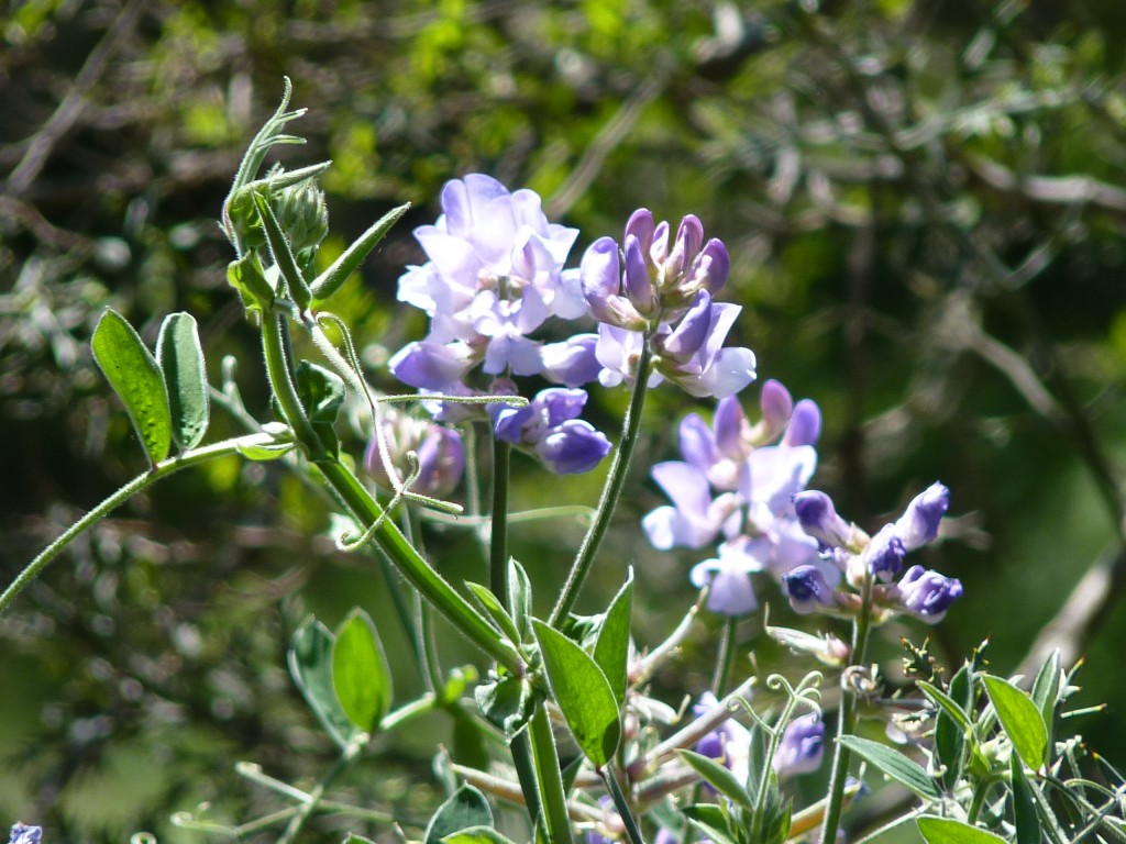 Foto de Sierra de los Padres (Buenos Aires), Argentina