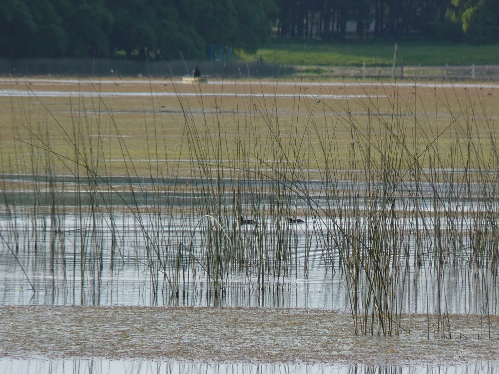 Foto de Sierra de los Padres (Buenos Aires), Argentina