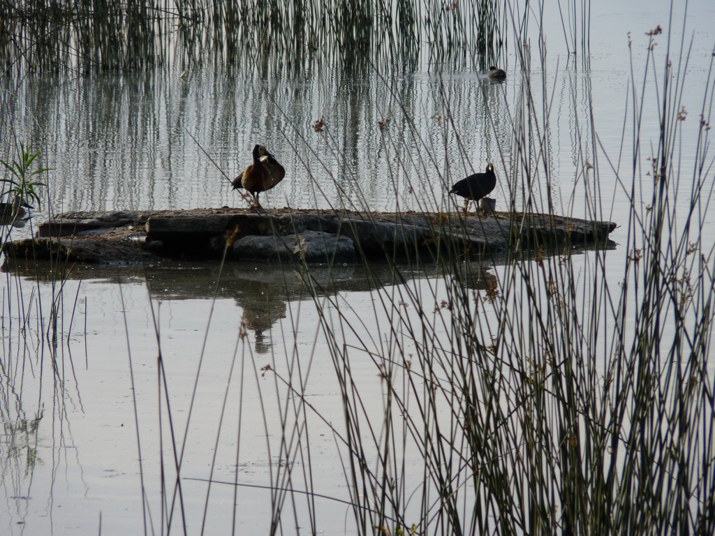 Foto de Laguna de los Padres (Buenos Aires), Argentina